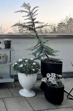ALICIA Urne ø 38 cm