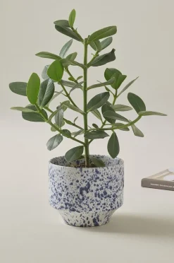 BELLADONNA Übertopf Ø 21,5 cm