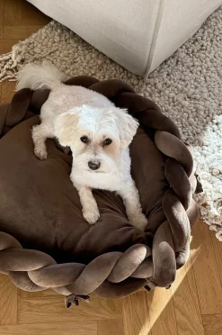 BRADY Hundebett/Katzenbett