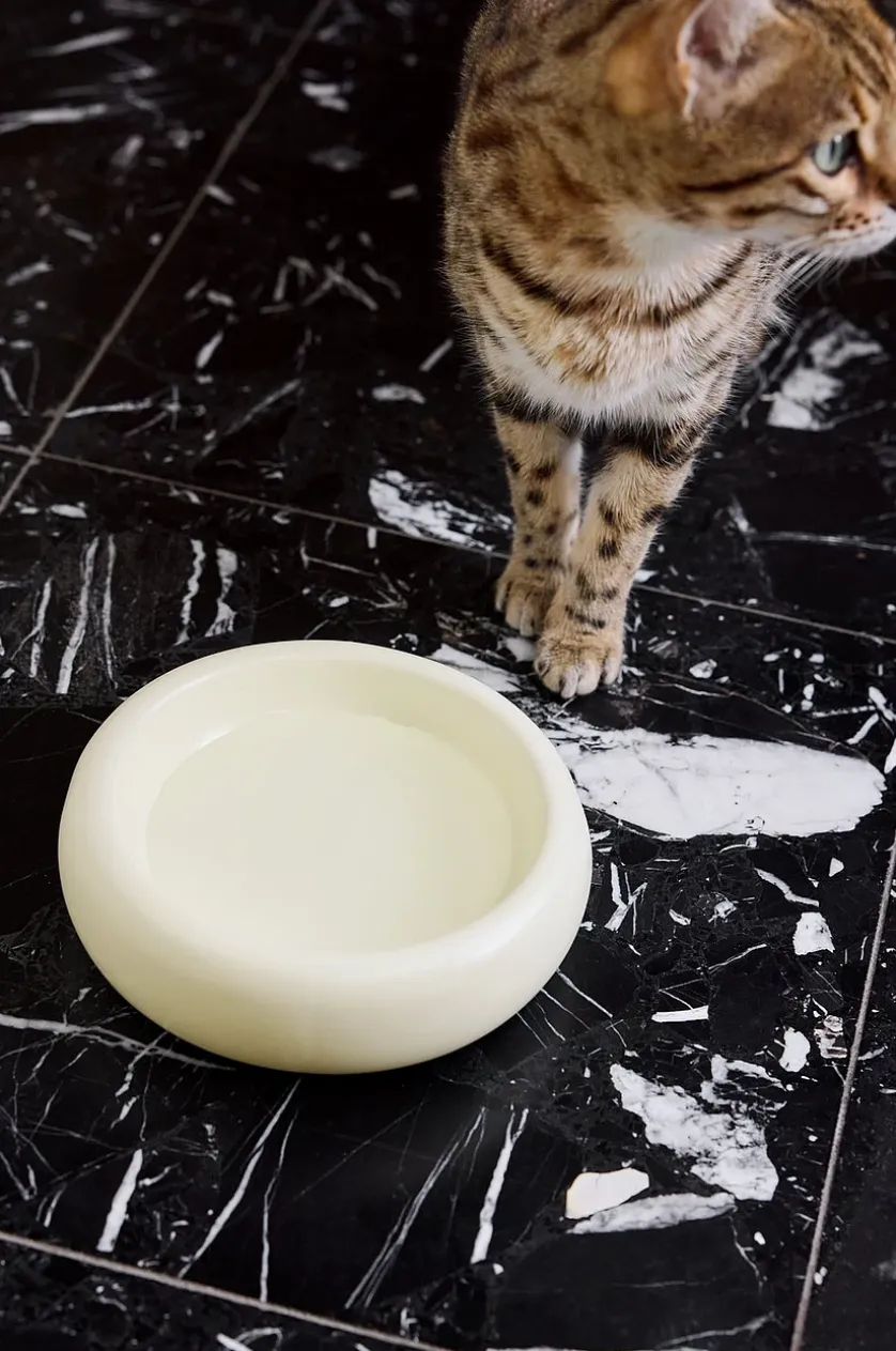 BUBBLE Hunde-/Katzenfressnapf