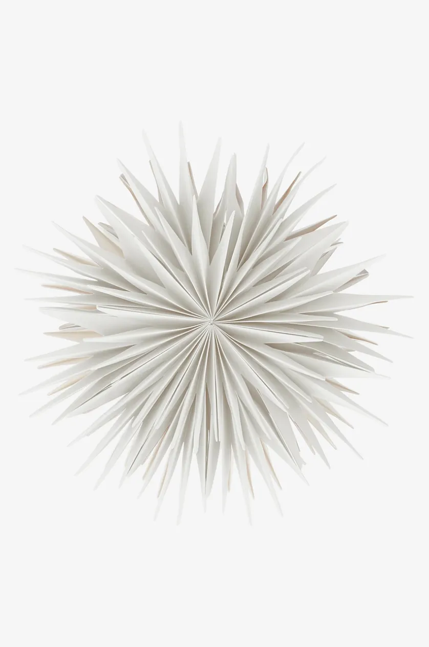 CASTOR Weihnachtsstern ø 63.5 cm