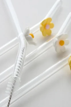 DAISY Strohhalm mit 4er-Pack