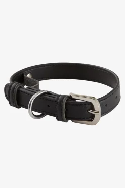 INU Hunde-/Katzenhalsband