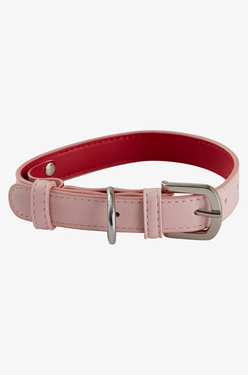 INU Hunde-/Katzenhalsband