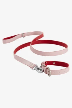 INU Hunde-/Katzenhalsband