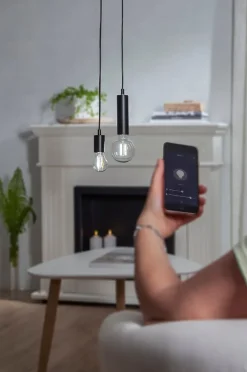 LED-Leuchtmittel G95 Smart Bulb