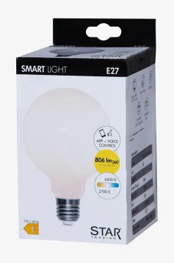 LED-Leuchtmittel G95 Smart Bulb