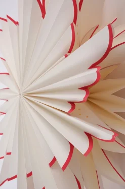 LOTUS Weihnachtsstern ø 55 cm