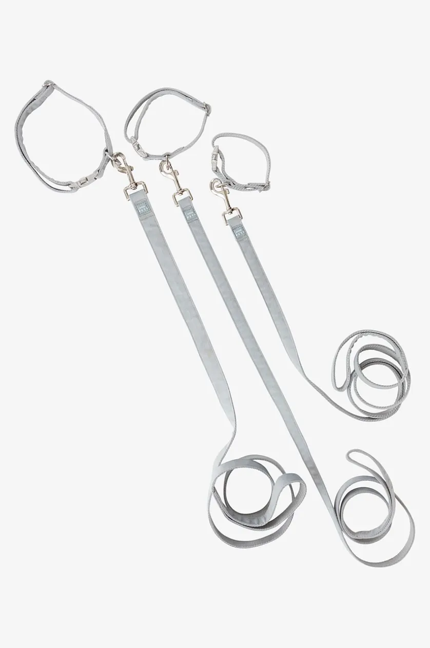 LUCA Hundeleine mit Halsband