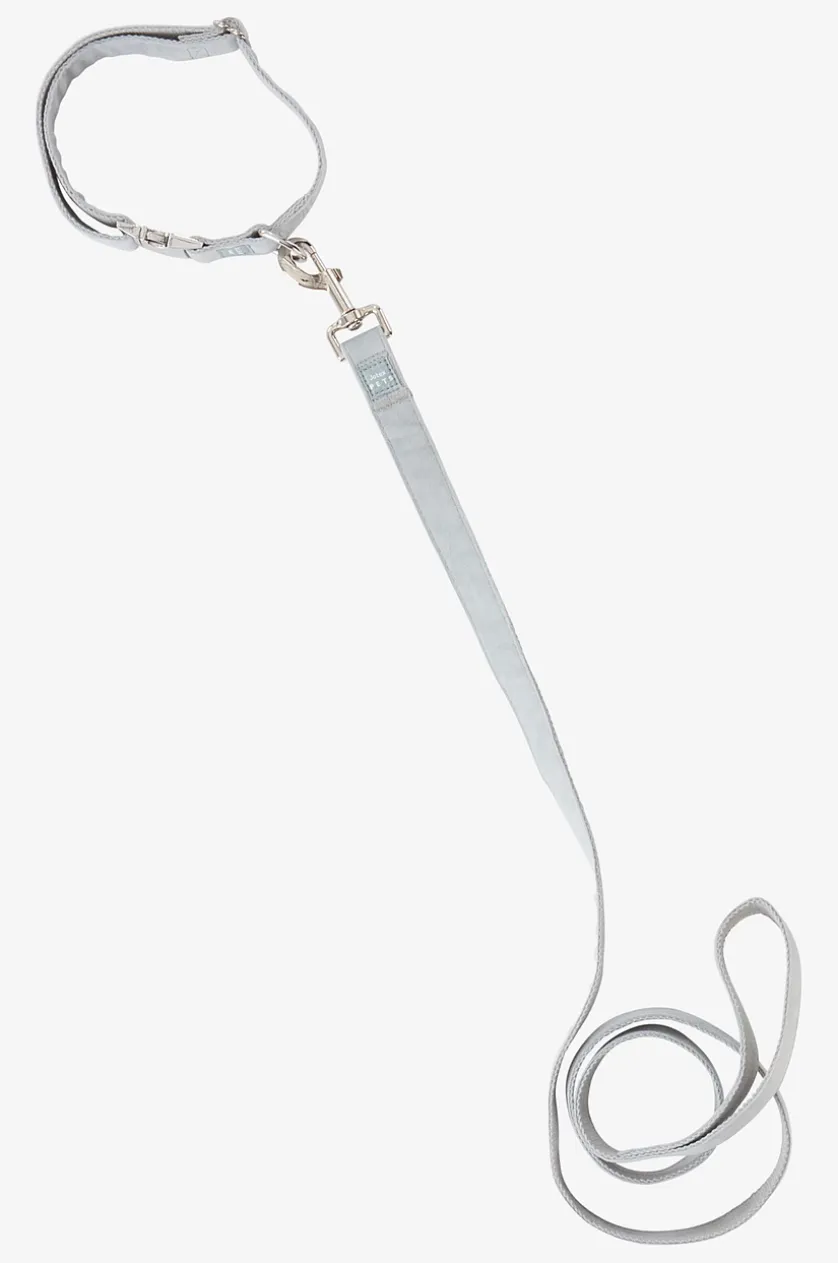 LUCA Hundeleine mit Halsband