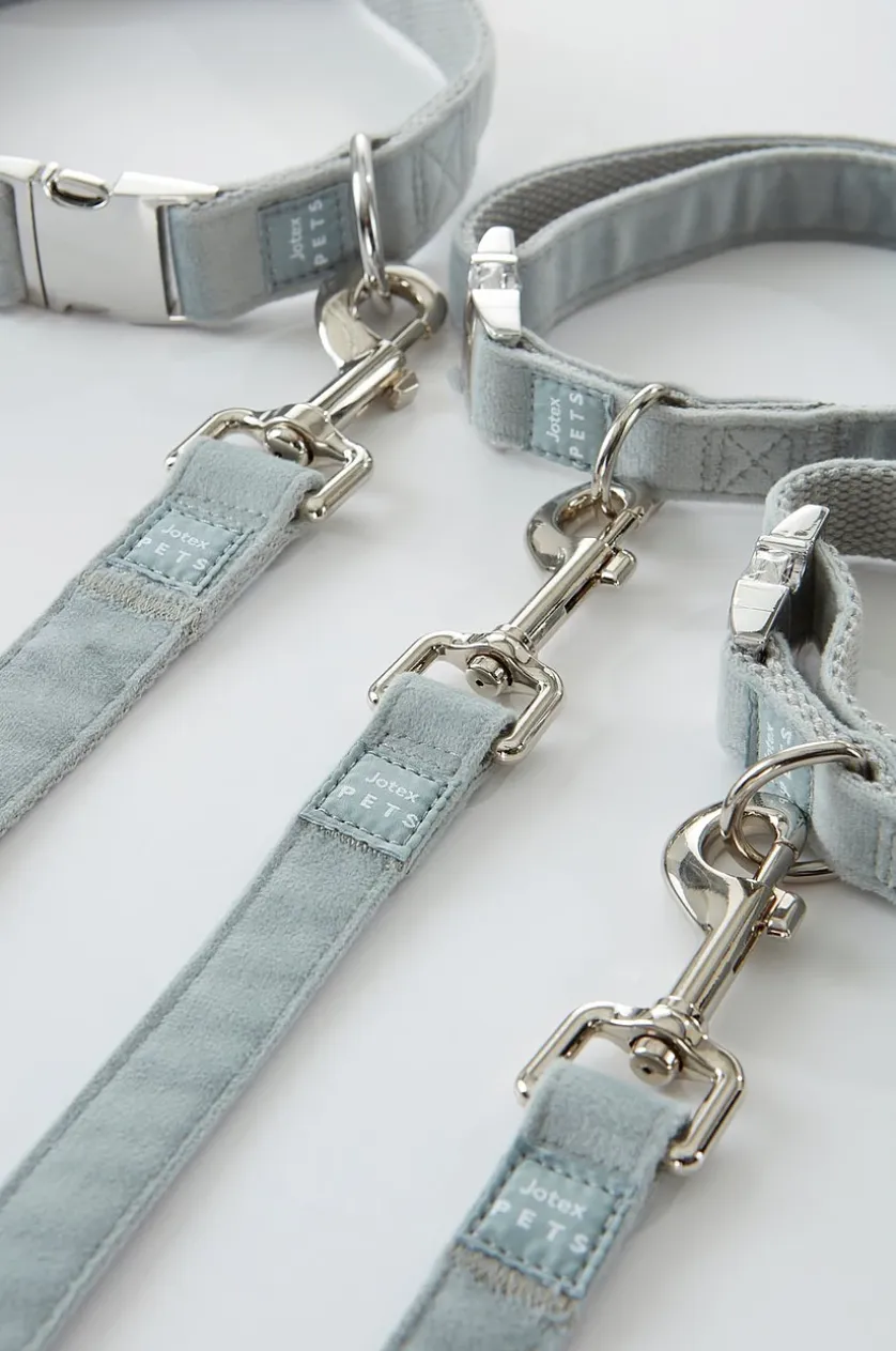 LUCA Hundeleine mit Halsband