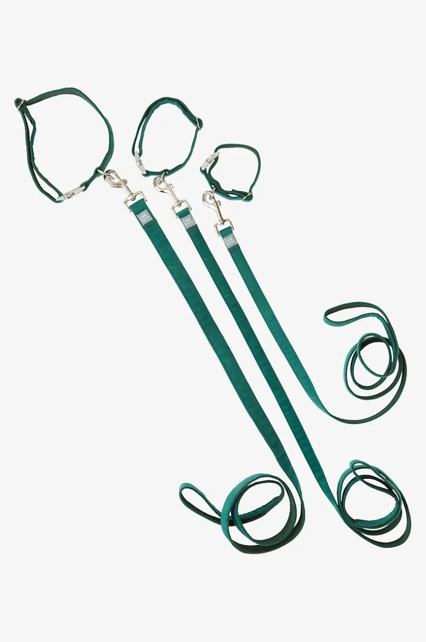 LUCA Hundeleine mit Halsband