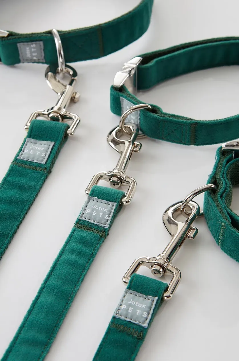 LUCA Hundeleine mit Halsband