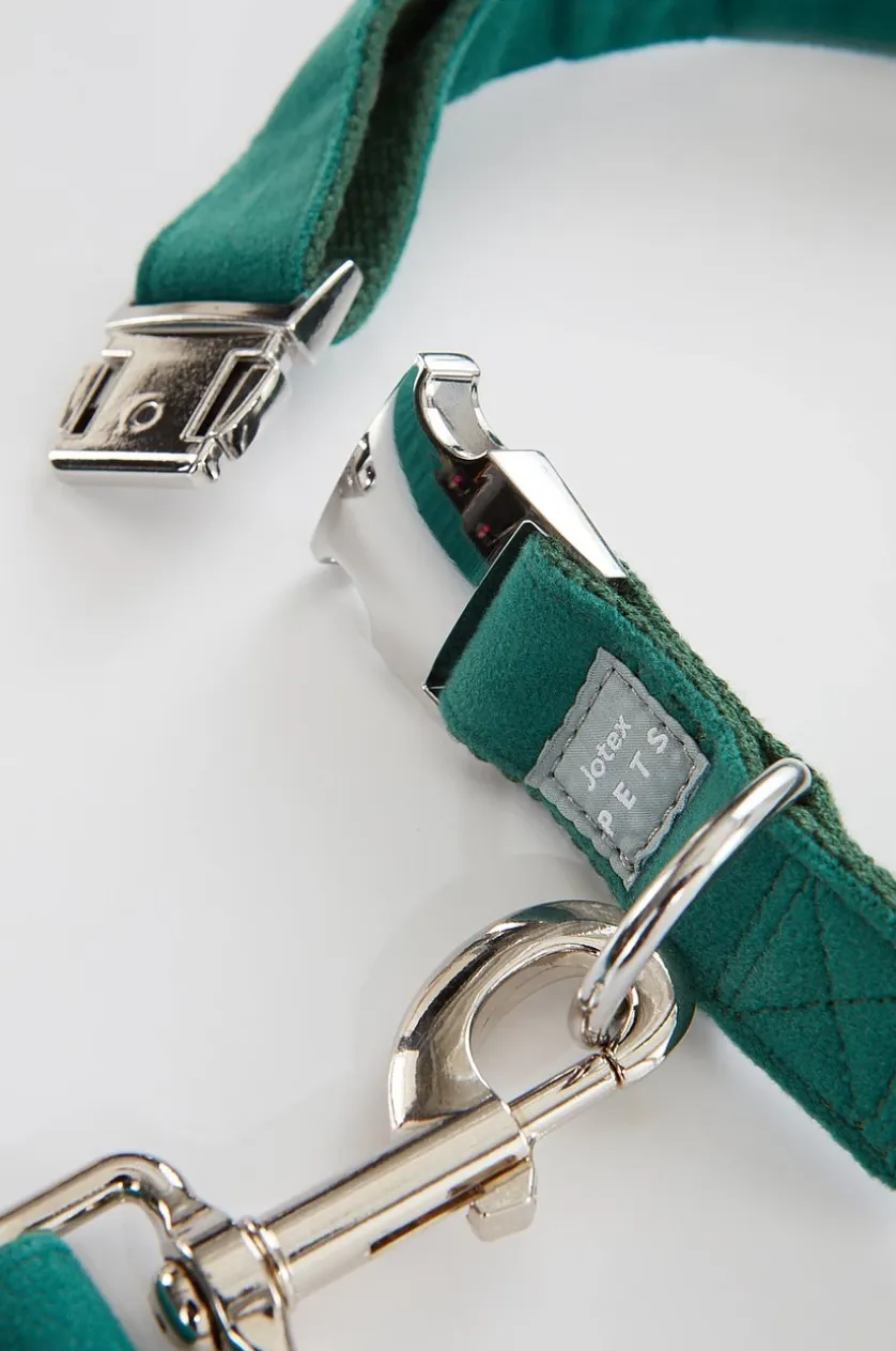 LUCA Hundeleine mit Halsband