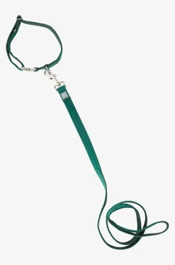 LUCA Hundeleine mit Halsband