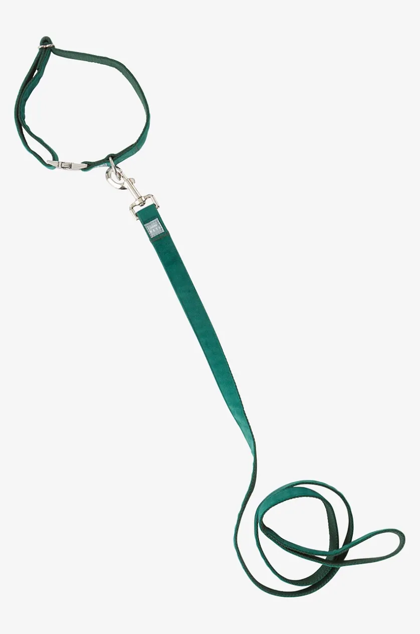 LUCA Hundeleine mit Halsband