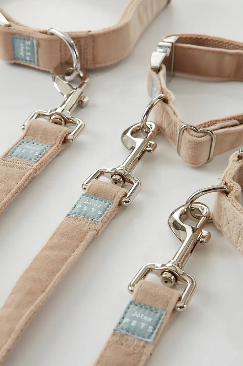LUCA Hundeleine mit Halsband
