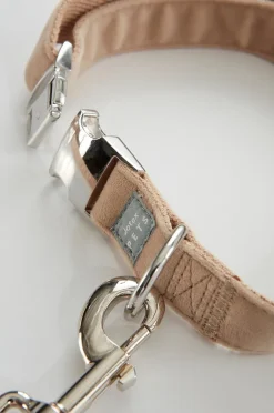 LUCA Hundeleine mit Halsband