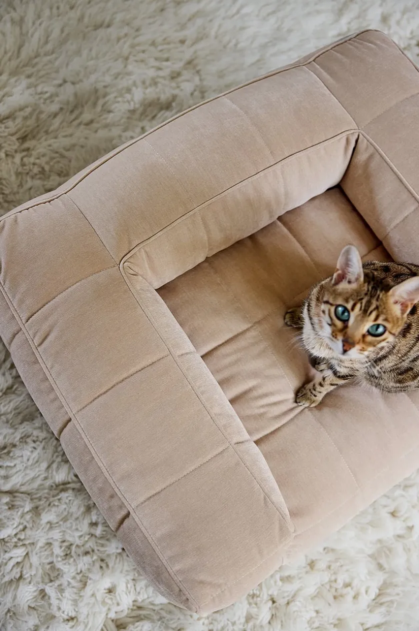 MEDFORD Hundebett/Katzenbett