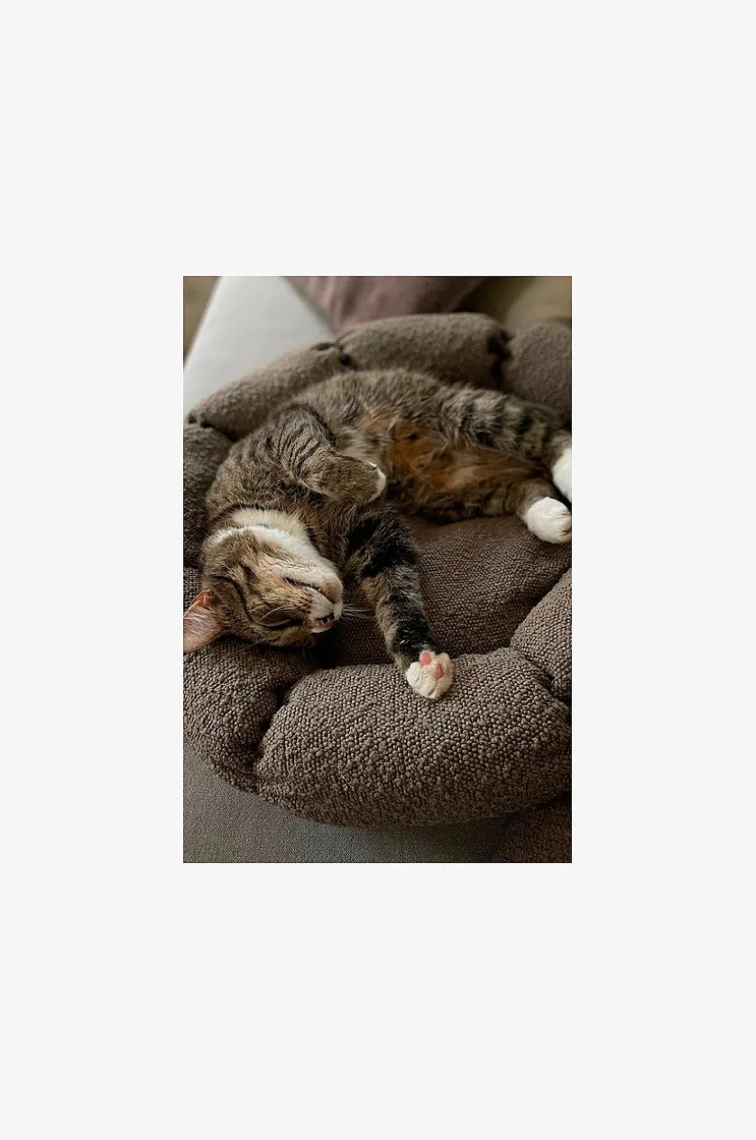 OBI Hundebett/Katzenbett