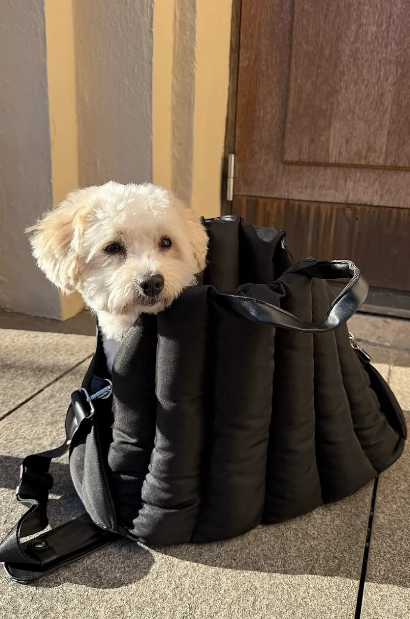 PADDY Transporttasche für Tiere
