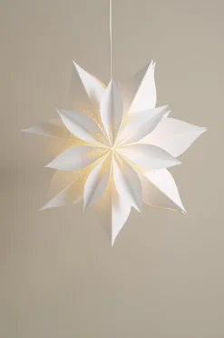 POINSETTIA Weihnachtsstern