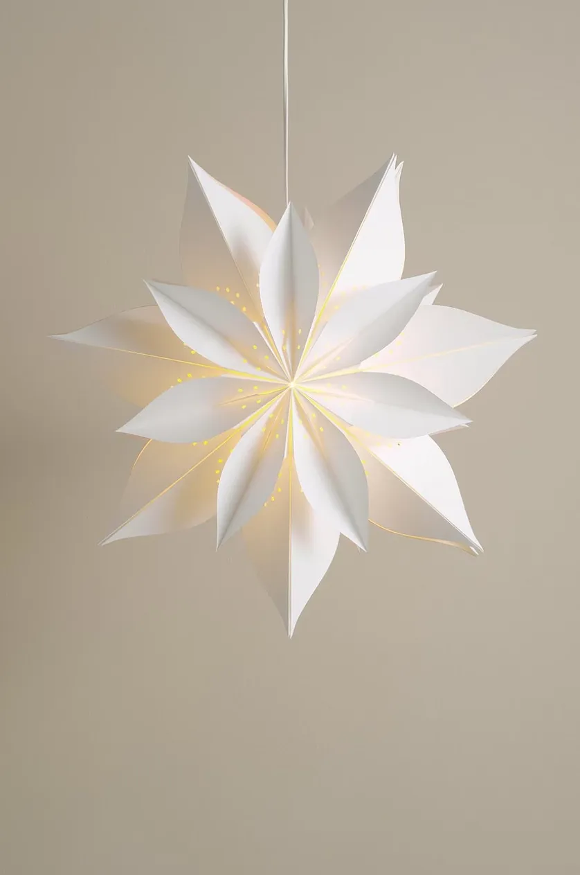 POINSETTIA Weihnachtsstern