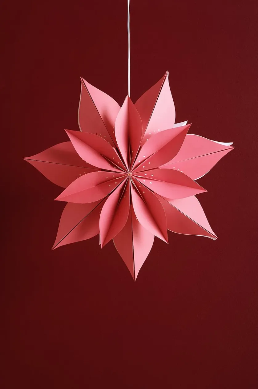 POINSETTIA Weihnachtsstern