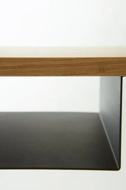 TÅGABORG Schreibtisch 45x110 cm